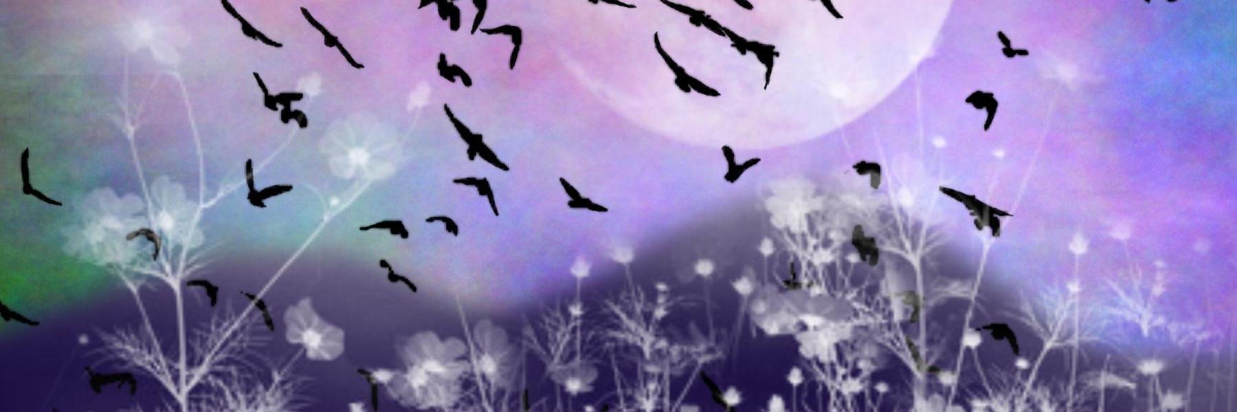 iJustWant2BeMe's profile banner image