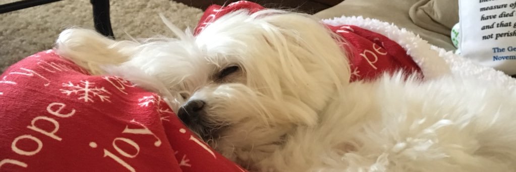 ginalyn23's profile banner image