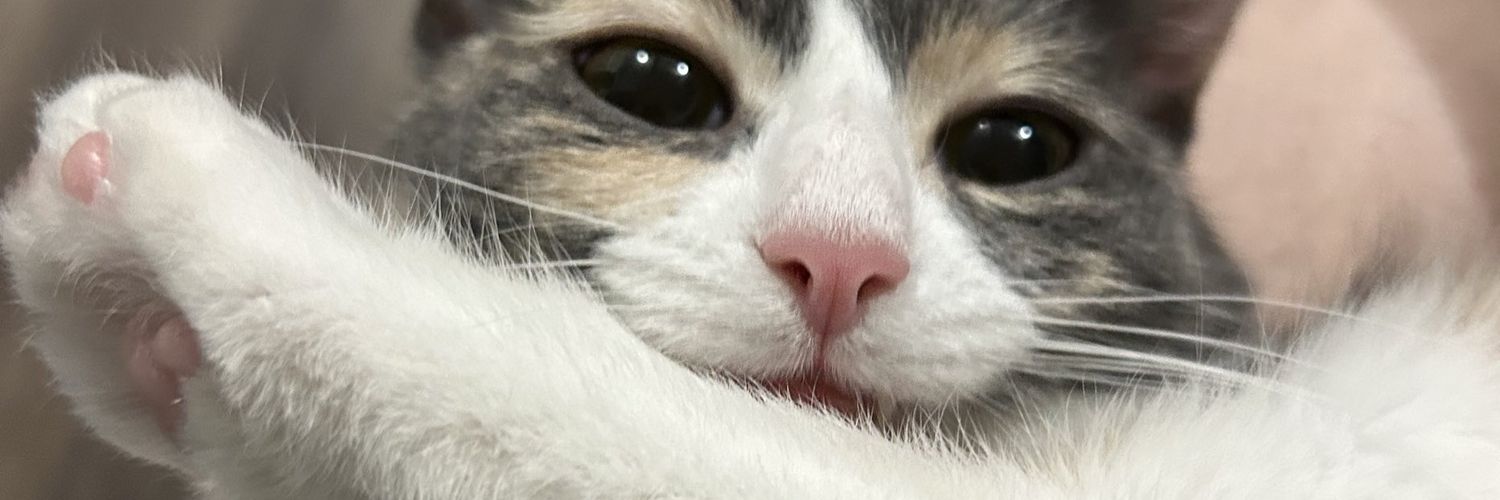 narucakies's profile banner image