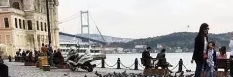 是但求其 banner