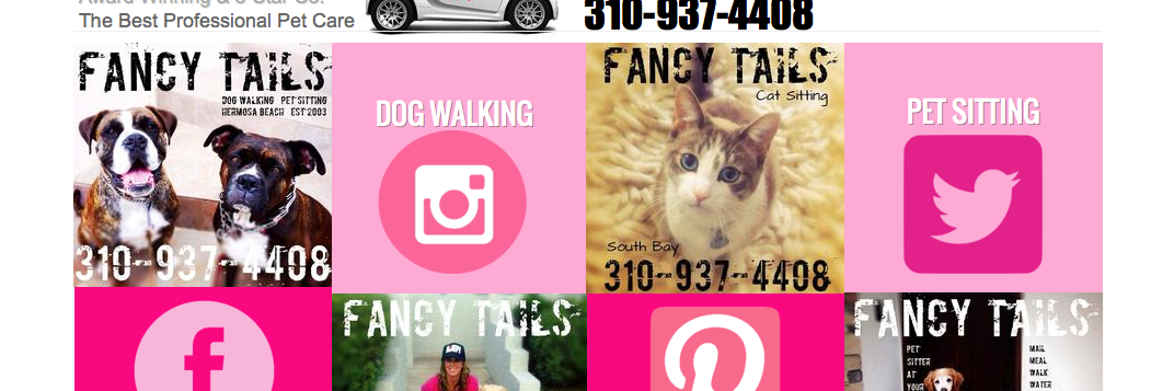 FancyTailsCo's profile banner image