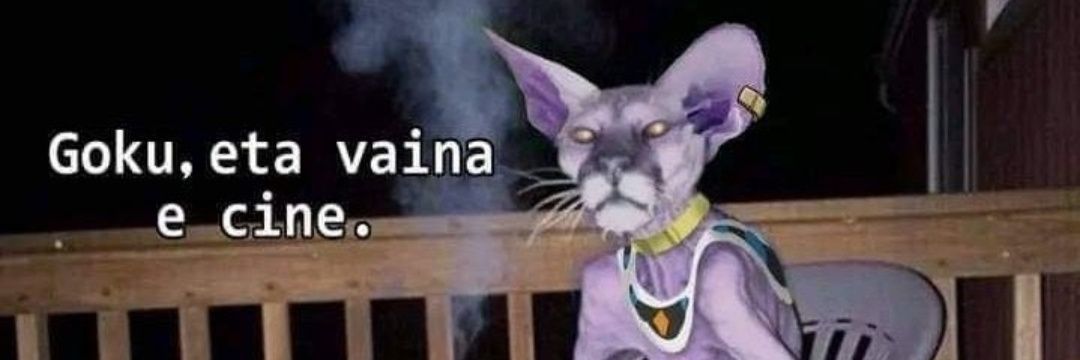 •Putokikexd• banner