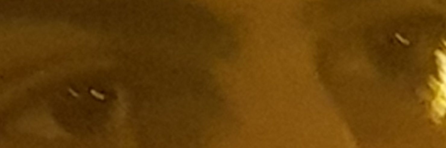 umagainst's profile banner image
