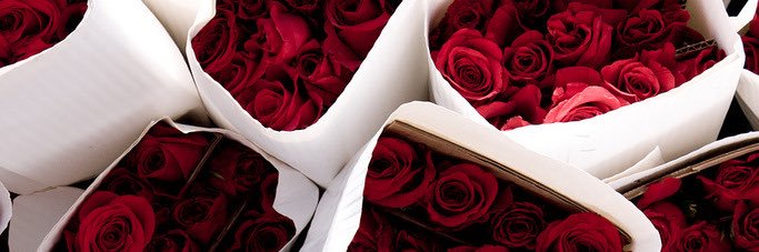 JessicaDunham99's profile banner image
