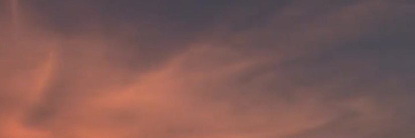 Niky_Curiel's profile banner image