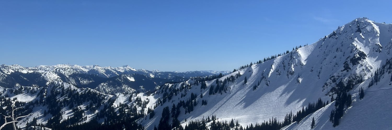 zivelli's profile banner image