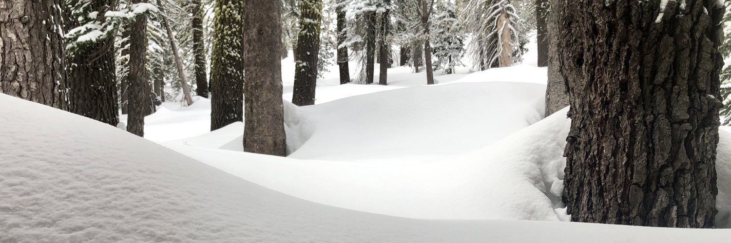 sutterbos's profile banner image