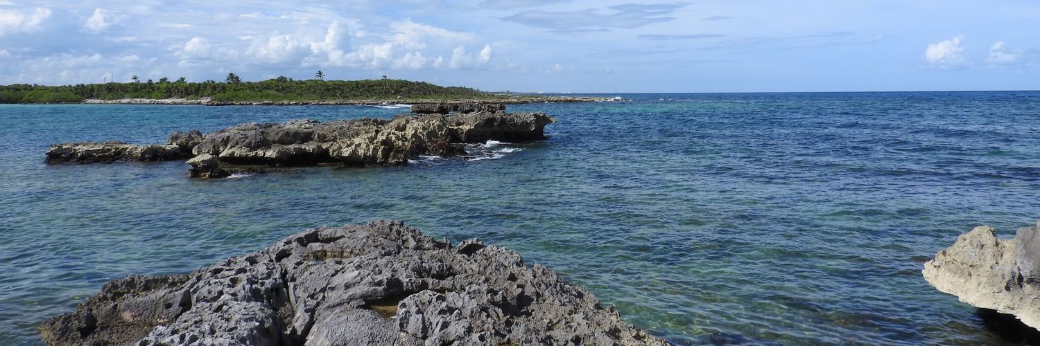 El Héctor es bien vergs banner