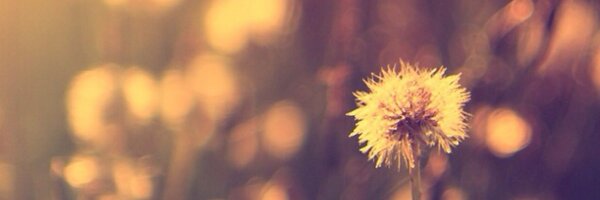 easyhet Profile Banner