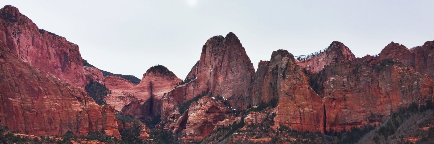 JessZidek's profile banner image