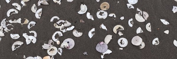 ang_johnston Profile Banner