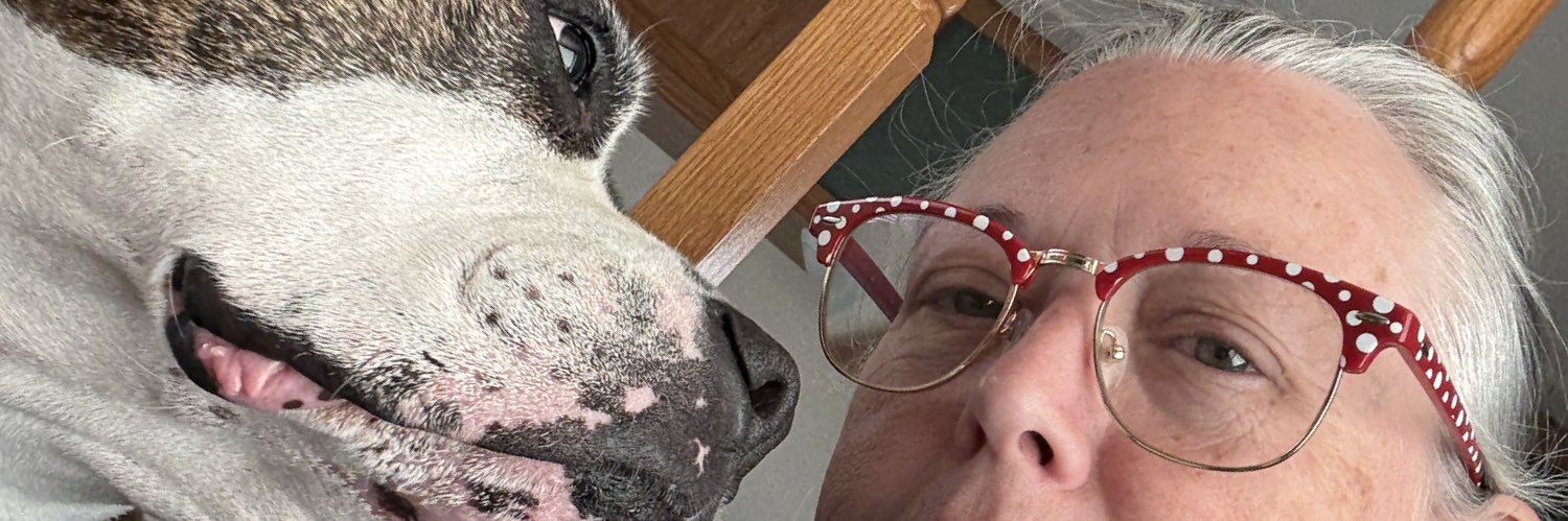 Janice Dillaha banner