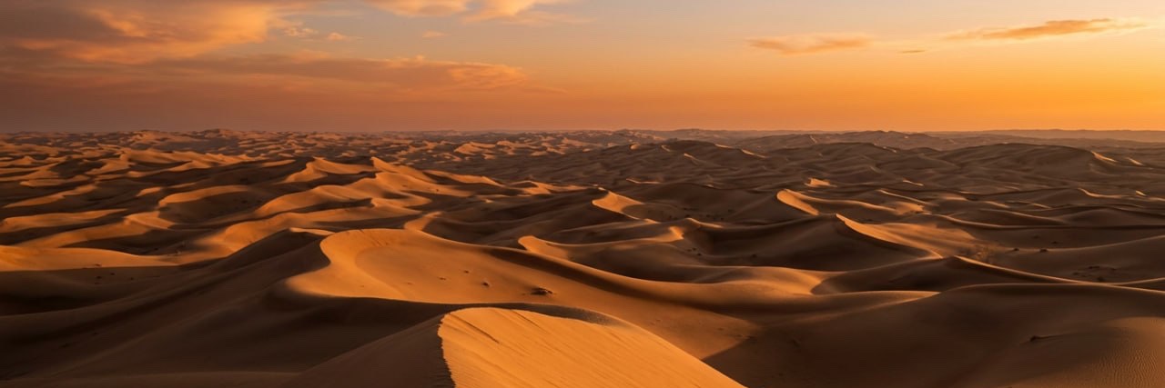 Sau Collective banner