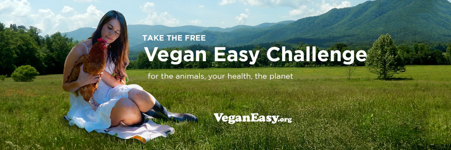 vegan_easy's profile banner image
