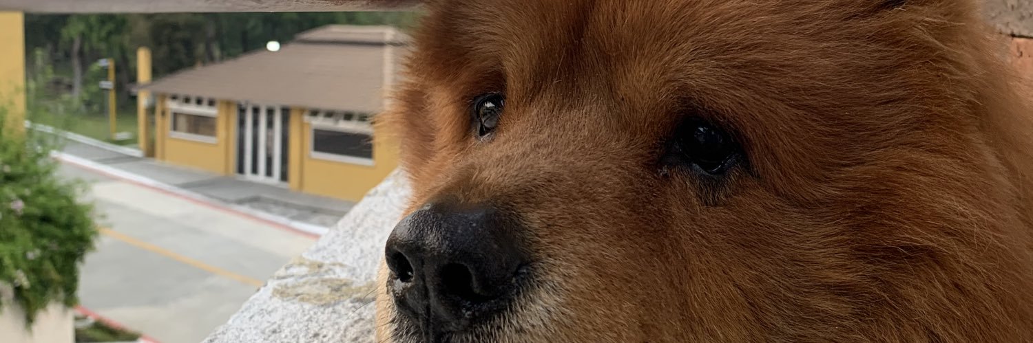 diego_mpz's profile banner image