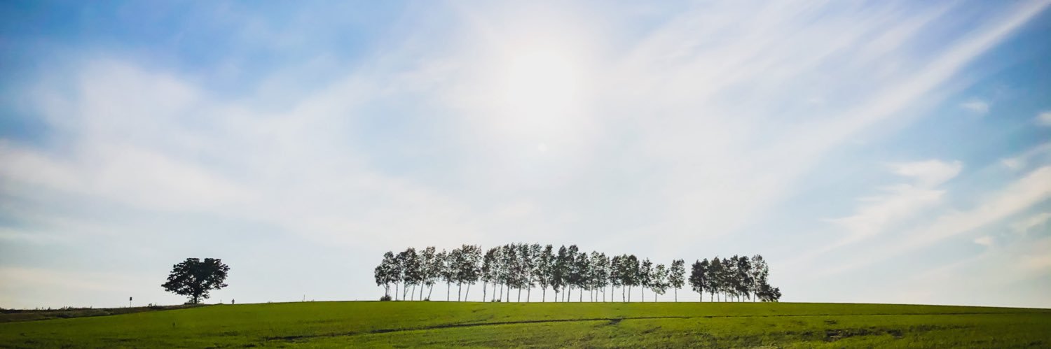 マサちゃん🚲🐸📕 banner