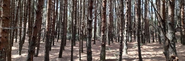 SebasMateus26's profile banner image