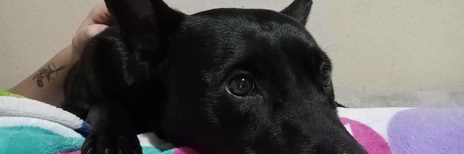 ma_urma96's profile banner image