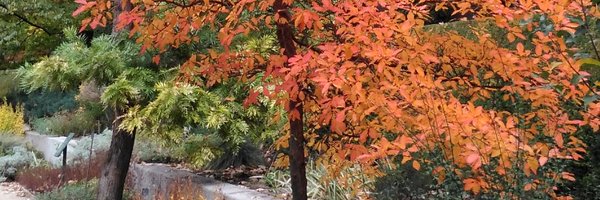 InmaYruela Profile Banner