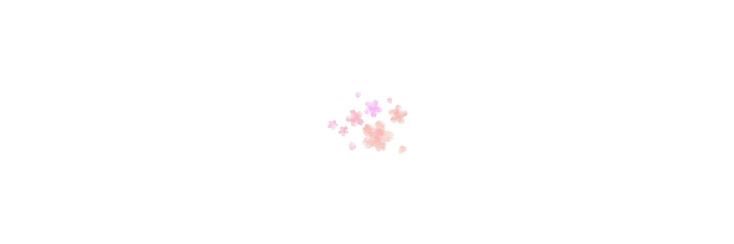 paloma' banner