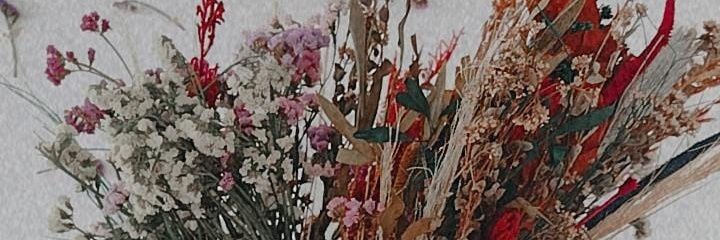 ThainaraPiitta's profile banner image