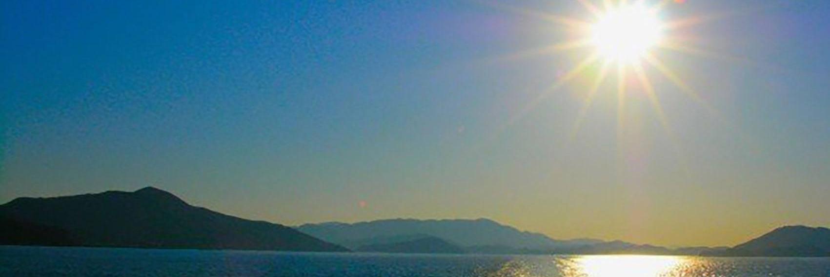 selfexciting's profile banner image