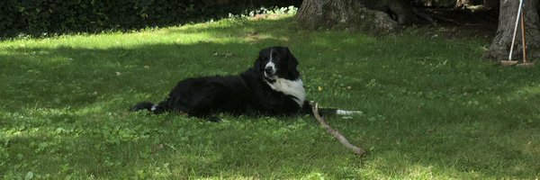 MimiBlu625 Profile Banner