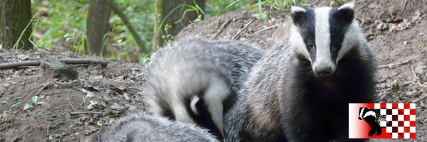 DassenwerkgroepBrabant Profile Banner