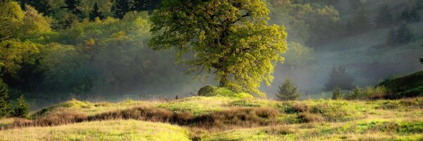 KymKemp Profile Banner