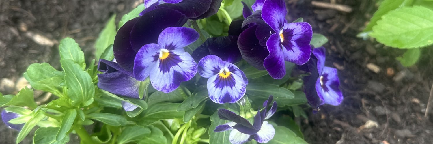 tami282's profile banner image