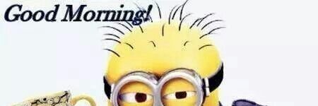 nutsarelarge's profile banner image