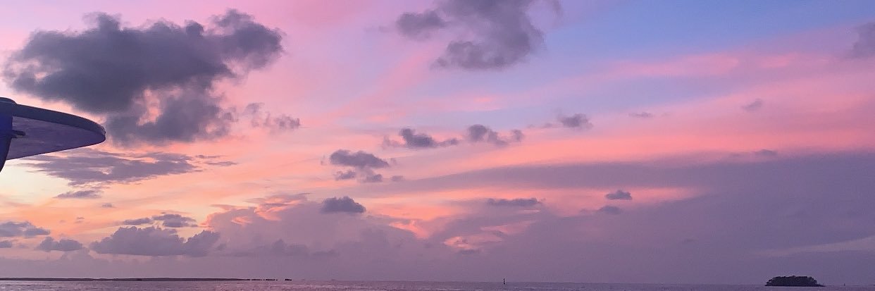 sofiamarttinezz's profile banner image