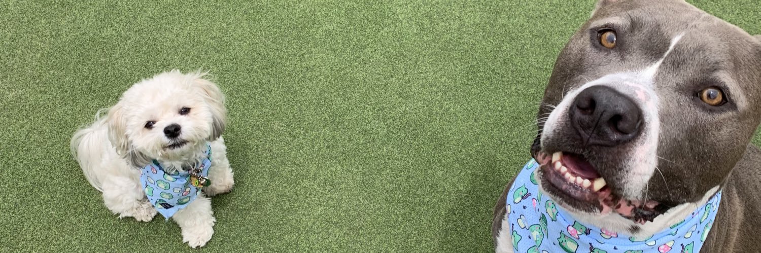 hellomikaa's profile banner image