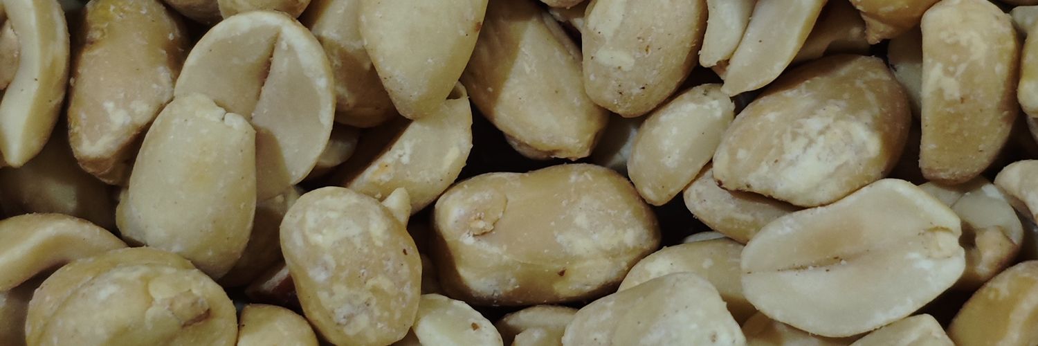 angiorvato.sol banner