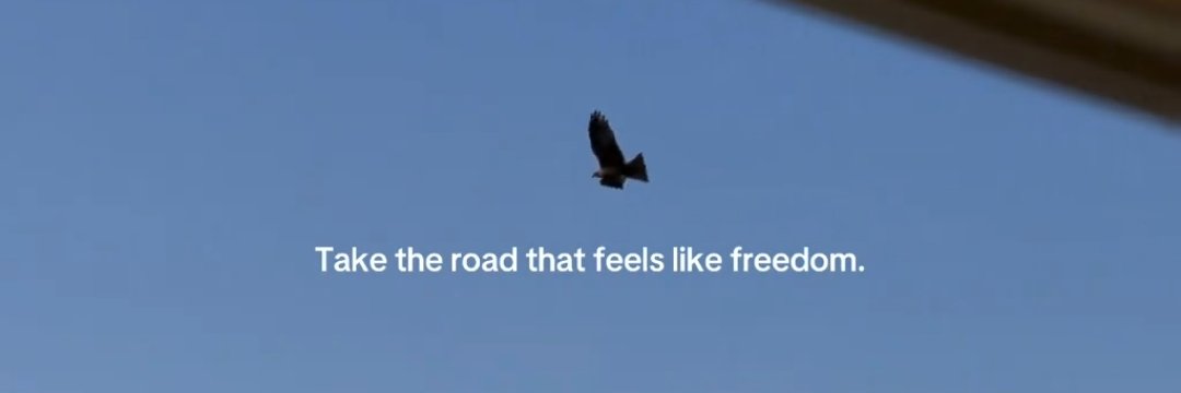 Reham Mohamed banner