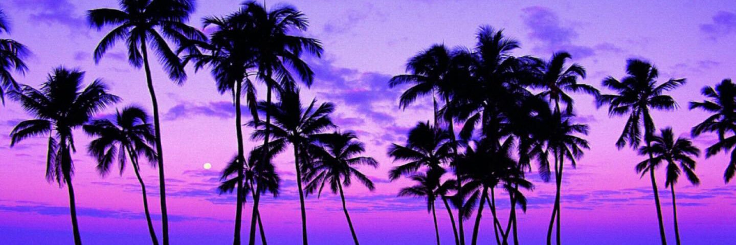 jenzdolphin14's profile banner image