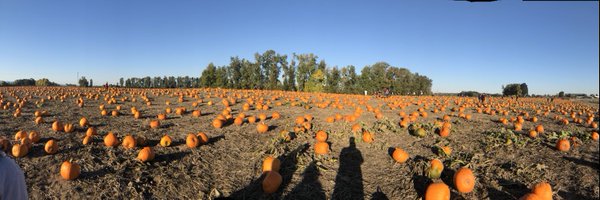 chrisbecker4040 Profile Banner