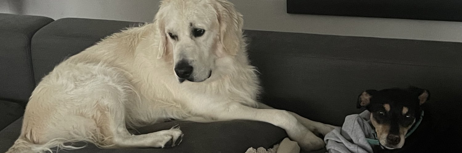 Alexia Dechaume-Balleret banner