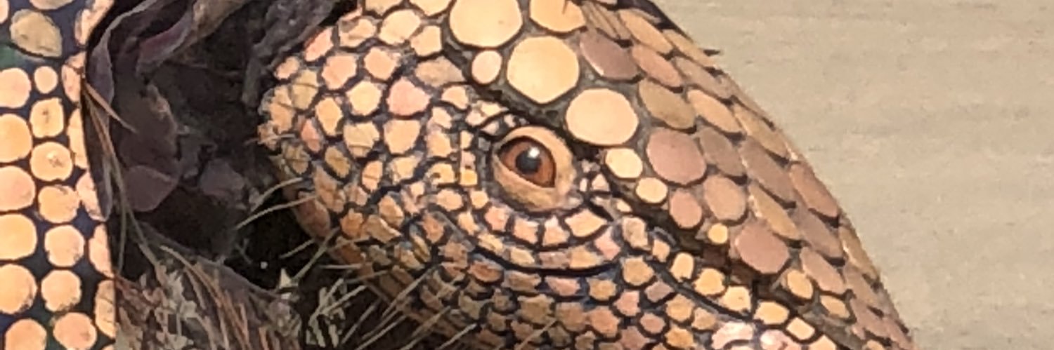 Linus Uninterested banner