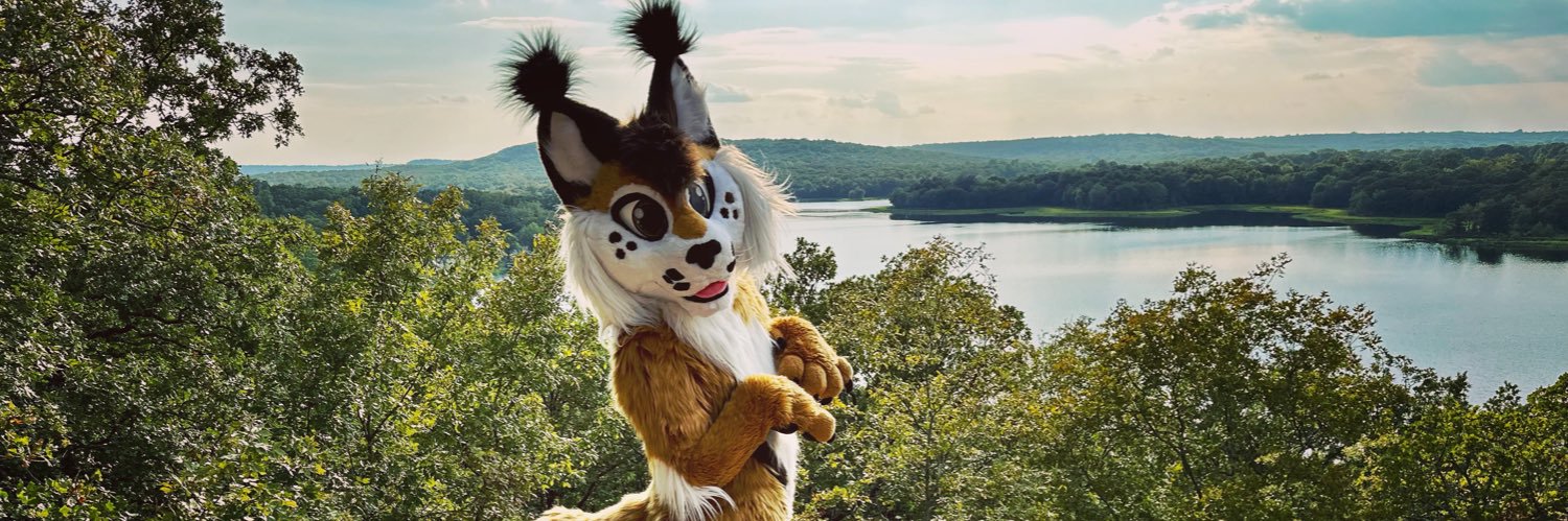 𝕂𝕨𝕒𝕟𝕫𝕒 𝔽𝕠𝕩 @ TFF banner