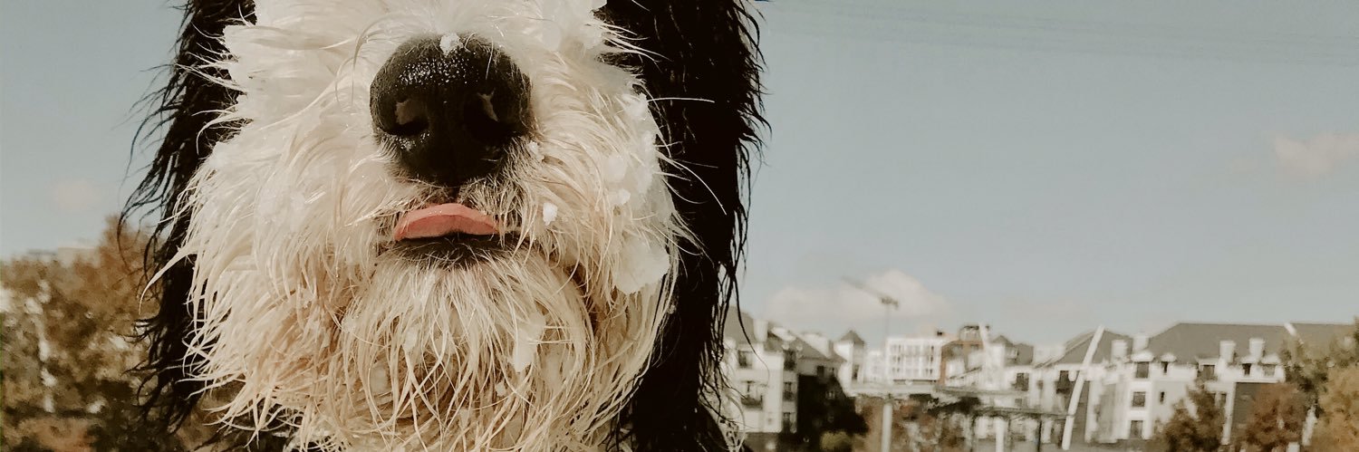 SueBoo18's profile banner image