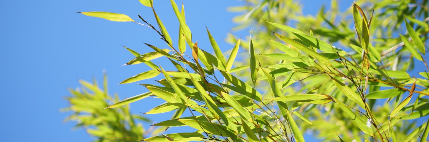 littledemoon__'s profile banner image