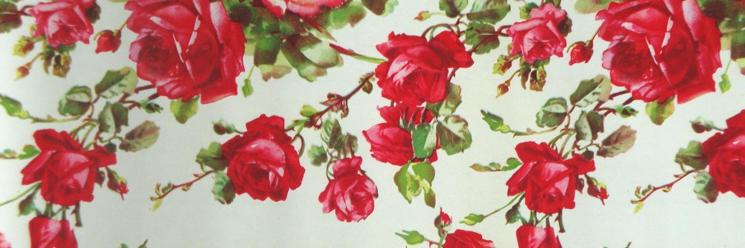 AnaRdrgz_'s profile banner image