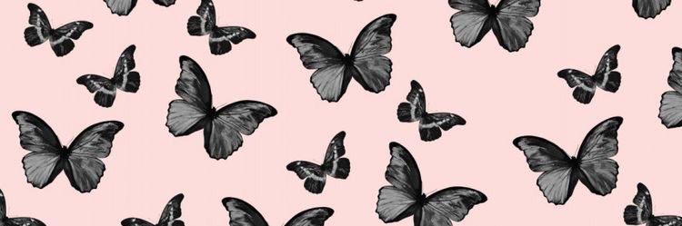 bracheltorres's profile banner image