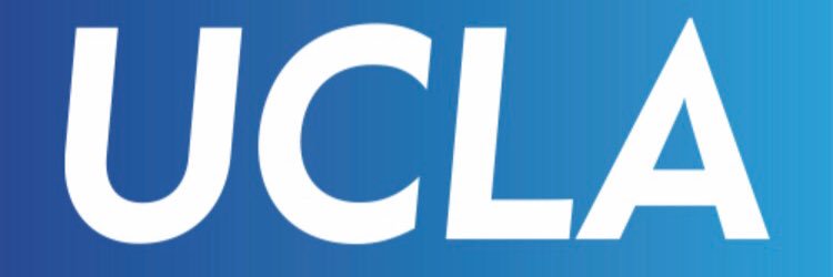 Lbruin1's profile banner image