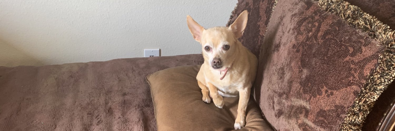 Stephanie Miller, BCBA banner