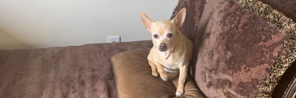 stephmiller57 Profile Banner