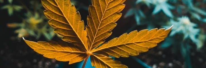 EstebanYozzi's profile banner image
