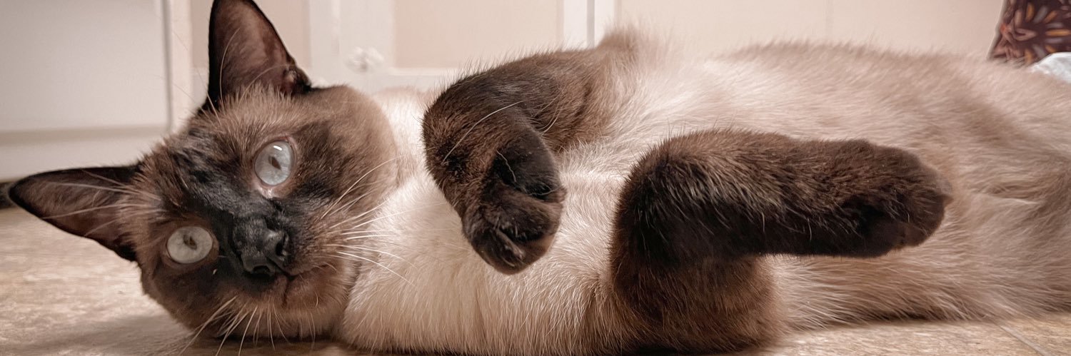 OofOkayy's profile banner image