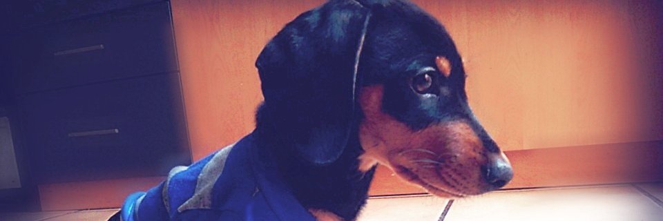 yuffrida's profile banner image